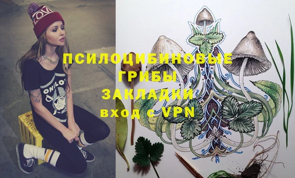 эйфоретик Лихославль