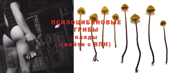 эйфоретик Лихославль