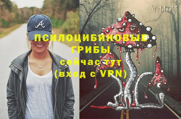 ПСИЛОЦИБИНОВЫЕ ГРИБЫ Уссурийск