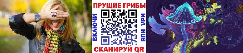 магазин  наркотиков  OMG ссылки  Псилоцибиновые грибы MAGIC MUSHROOMS  Новоульяновск 